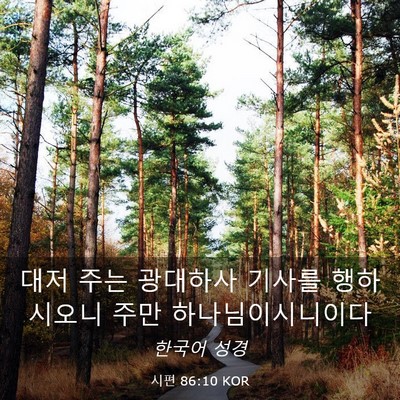 Picture 03 - 시편 86:10 KOR - 대저 주는 광대하사 기사를 - Bible Verse Picture