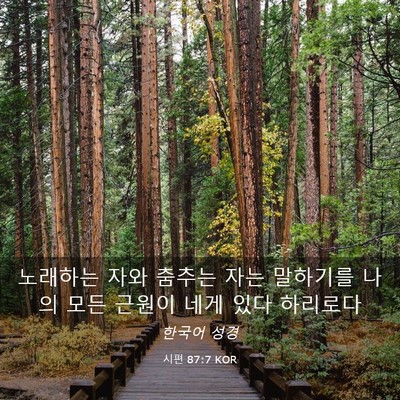 Picture 03 - 시편 87:7 KOR - 노래하는 자와 춤추는 자는 말하기를 - Bible Verse Picture