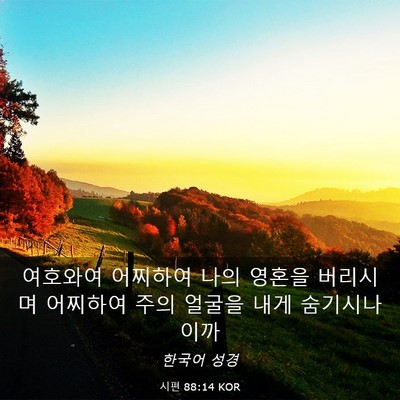 Picture 03 - 시편 88:14 KOR - 여호와여 어찌하여 나의 영혼을 - Bible Verse Picture