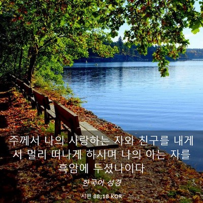 Picture 03 - 시편 88:18 KOR - 주께서 나의 사랑하는 자와 친구를 - Bible Verse Picture