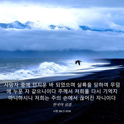 Picture 03 - 시편 88:5 KOR - 사망자 중에 던지운 바 되었으며 - Bible Verse Picture