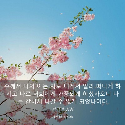 Picture 03 - 시편 88:8 KOR - 주께서 나의 아는 자로 내게서 멀리 - Bible Verse Picture