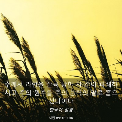 Picture 03 - 시편 89:10 KOR - 주께서 라합을 살륙 당한 자 같이 - Bible Verse Picture