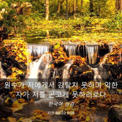 Picture 03 - 시편 89:22 KOR - 원수가 저에게서 강탈치 못하며 악한 - Bible Verse Picture