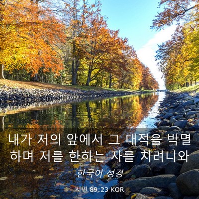 Picture 03 - 시편 89:23 KOR - 내가 저의 앞에서 그 대적을 - Bible Verse Picture