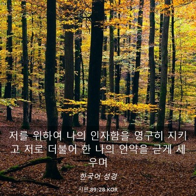 Picture 03 - 시편 89:28 KOR - 저를 위하여 나의 인자함을 영구히 - Bible Verse Picture
