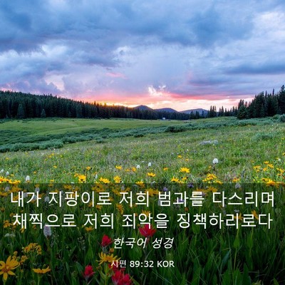 Picture 03 - 시편 89:32 KOR - 내가 지팡이로 저희 범과를 다스리며 - Bible Verse Picture
