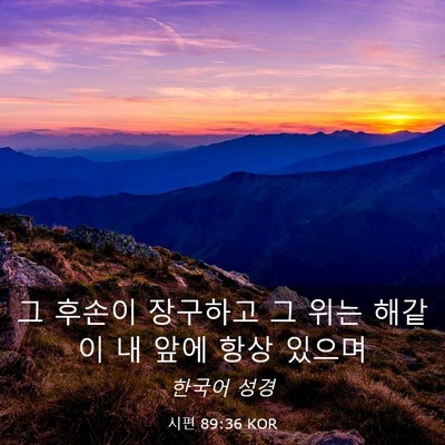 Picture 03 - 시편 89:36 KOR - 그 후손이 장구하고 그 위는 해같이 - Bible Verse Picture