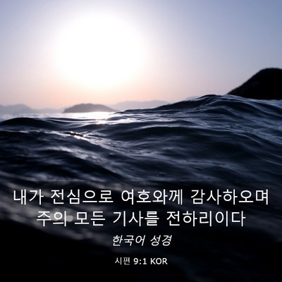 Picture 03 - 시편 9:1 KOR - 내가 전심으로 여호와께 감사하오며 - Bible Verse Picture