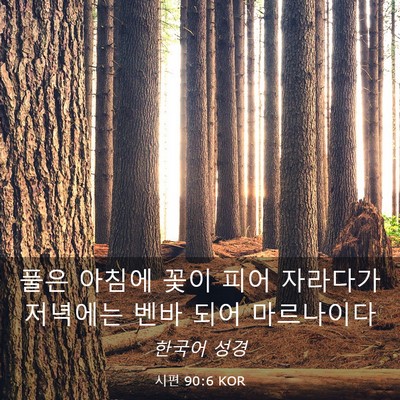 Picture 03 - 시편 90:6 KOR - 풀은 아침에 꽃이 피어 자라다가 - Bible Verse Picture