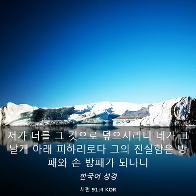 Picture 03 - 시편 91:4 KOR - 저가 너를 그 깃으로 덮으시리니 - Bible Verse Picture