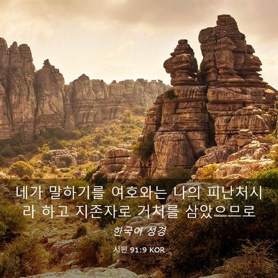 Picture 03 - 시편 91:9 KOR - 네가 말하기를 여호와는 나의 - Bible Verse Picture