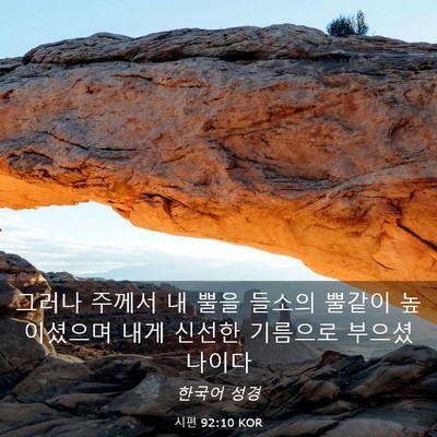 Picture 03 - 시편 92:10 KOR - 그러나 주께서 내 뿔을 들소의 - Bible Verse Picture