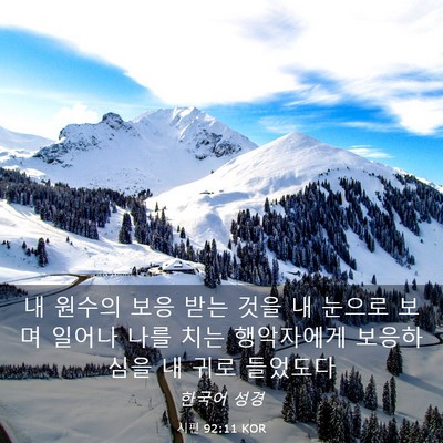Picture 03 - 시편 92:11 KOR - 내 원수의 보응 받는 것을 내 눈으로 - Bible Verse Picture