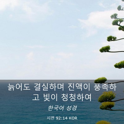 Picture 03 - 시편 92:14 KOR - 늙어도 결실하며 진액이 풍족하고 - Bible Verse Picture