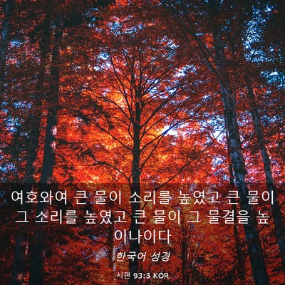 Picture 03 - 시편 93:3 KOR - 여호와여 큰 물이 소리를 높였고 큰 - Bible Verse Picture