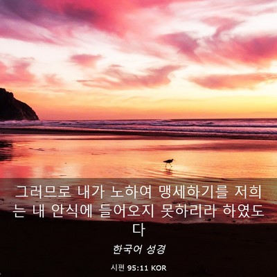 Picture 03 - 시편 95:11 KOR - 그러므로 내가 노하여 맹세하기를 - Bible Verse Picture