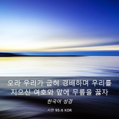 Picture 03 - 시편 95:6 KOR - 오라 우리가 굽혀 경배하며 우리를 - Bible Verse Picture
