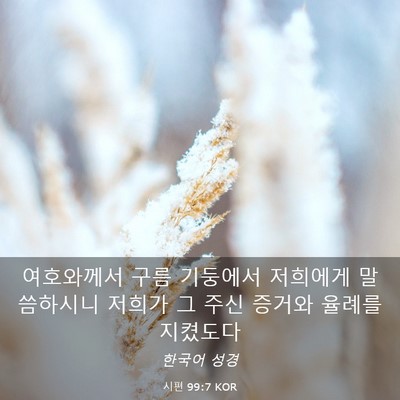 Picture 03 - 시편 99:7 KOR - 여호와께서 구름 기둥에서 저희에게 - Bible Verse Picture