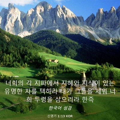 Picture 03 - 신명기 1:13 KOR - 너희의 각 지파에서 지혜와 지식이 - Bible Verse Picture