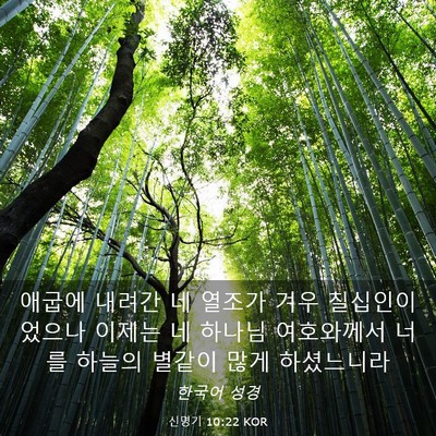 Picture 03 - 신명기 10:22 KOR - 애굽에 내려간 네 열조가 겨우 - Bible Verse Picture