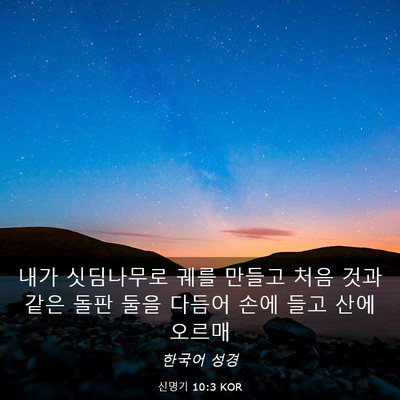 Picture 03 - 신명기 10:3 KOR - 내가 싯딤나무로 궤를 만들고 처음 - Bible Verse Picture