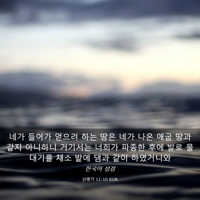 Picture 03 - 신명기 11:10 KOR - 네가 들어가 얻으려 하는 땅은 네가 - Bible Verse Picture