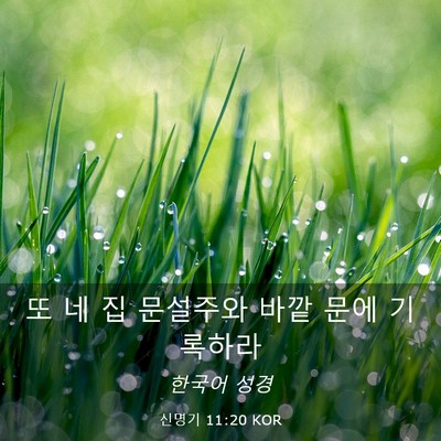 Picture 03 - 신명기 11:20 KOR - 또 네 집 문설주와 바깥 문에 - Bible Verse Picture