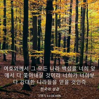 Picture 03 - 신명기 11:23 KOR - 여호와께서 그 모든 나라 백성을 - Bible Verse Picture