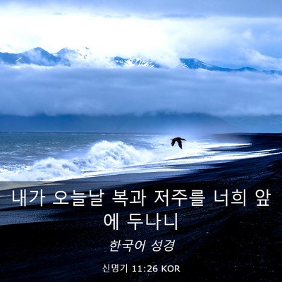 Picture 03 - 신명기 11:26 KOR - 내가 오늘날 복과 저주를 너희 앞에 - Bible Verse Picture