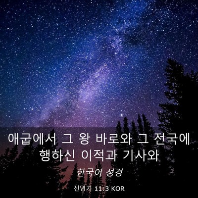 Picture 03 - 신명기 11:3 KOR - 애굽에서 그 왕 바로와 그 전국에 - Bible Verse Picture