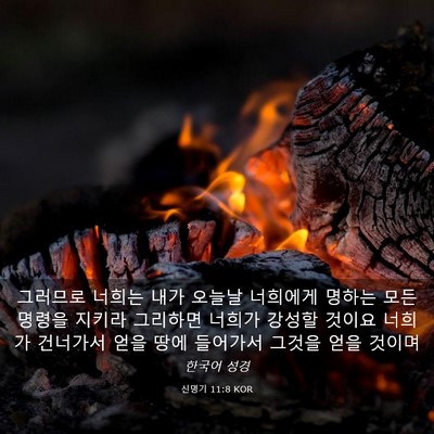 Picture 03 - 신명기 11:8 KOR - 그러므로 너희는 내가 오늘날 - Bible Verse Picture