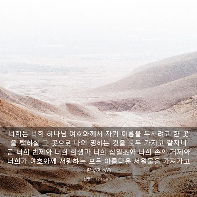 Picture 03 - 신명기 12:11 KOR - 너희는 너희 하나님 여호와께서 자기 - Bible Verse Picture