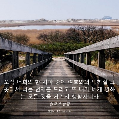 Picture 03 - 신명기 12:14 KOR - 오직 너희의 한 지파 중에 여호와의 - Bible Verse Picture