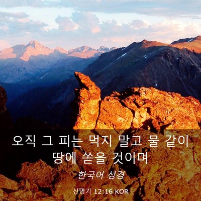 Picture 03 - 신명기 12:16 KOR - 오직 그 피는 먹지 말고 물 같이 땅에 - Bible Verse Picture