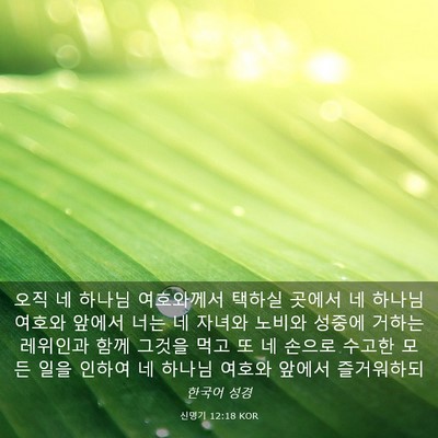 Picture 03 - 신명기 12:18 KOR - 오직 네 하나님 여호와께서 택하실 - Bible Verse Picture