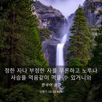 Picture 03 - 신명기 12:22 KOR - 정한 자나 부정한 자를 무론하고 - Bible Verse Picture