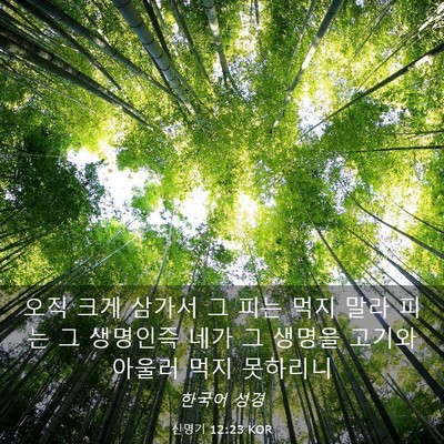 Picture 03 - 신명기 12:23 KOR - 오직 크게 삼가서 그 피는 먹지 말라 - Bible Verse Picture