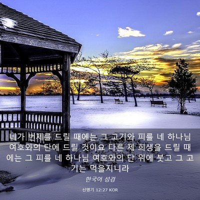 Picture 03 - 신명기 12:27 KOR - 네가 번제를 드릴 때에는 그 고기와 - Bible Verse Picture