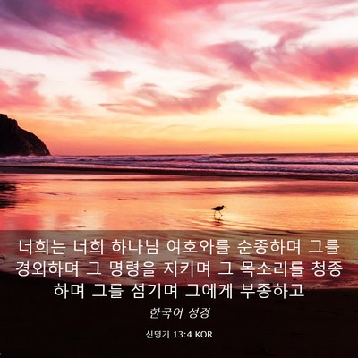 Picture 03 - 신명기 13:4 KOR - 너희는 너희 하나님 여호와를 - Bible Verse Picture