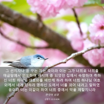Picture 03 - 신명기 13:5 KOR - 그 선지자나 꿈 꾸는 자는 죽이라 - Bible Verse Picture