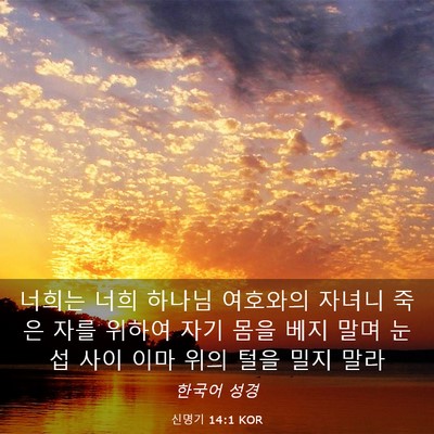 Picture 03 - 신명기 14:1 KOR - 너희는 너희 하나님 여호와의 자녀니 - Bible Verse Picture