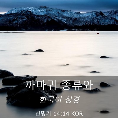 Picture 03 - 신명기 14:14 KOR - 까마귀 - Bible Verse Picture