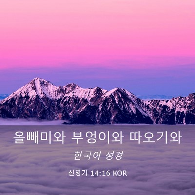 Picture 03 - 신명기 14:16 KOR - 올빼미와 부엉이와 - Bible Verse Picture