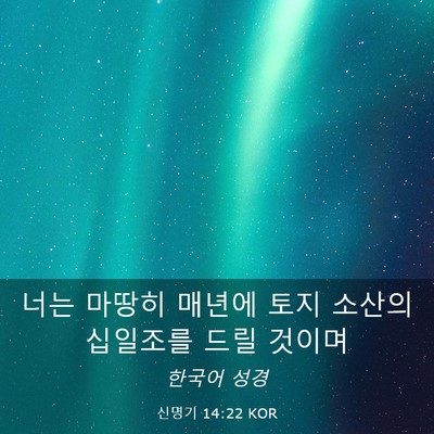 Picture 03 - 신명기 14:22 KOR - 너는 마땅히 매년에 토지 소산의 - Bible Verse Picture