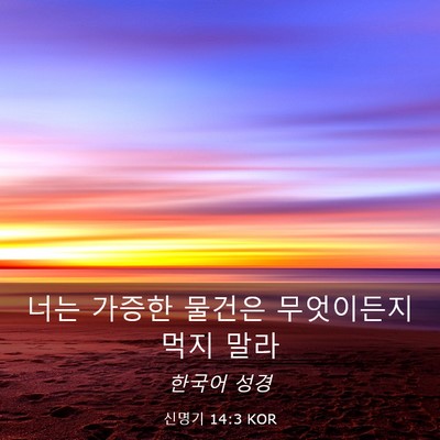 Picture 03 - 신명기 14:3 KOR - 너는 가증한 물건은 무엇이든지 먹지 - Bible Verse Picture