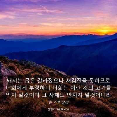 Picture 03 - 신명기 14:8 KOR - 돼지는 굽은 갈라졌으나 새김질을 - Bible Verse Picture