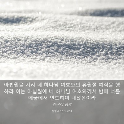 Picture 03 - 신명기 16:1 KOR - 아빕월을 지켜 네 하나님 여호와의 - Bible Verse Picture