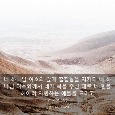 Picture 03 - 신명기 16:10 KOR - 네 하나님 여호와 앞에 칠칠절을 - Bible Verse Picture