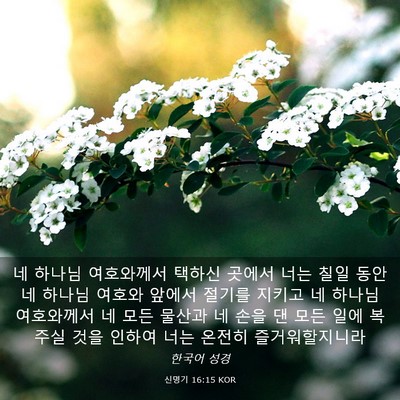 Picture 03 - 신명기 16:15 KOR - 네 하나님 여호와께서 택하신 곳에서 - Bible Verse Picture
